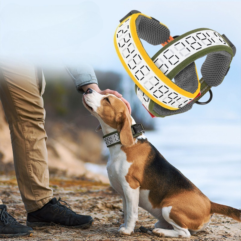 Outdoor Hunting Dog Collar - Collare Riflettente per Cani di Taglia