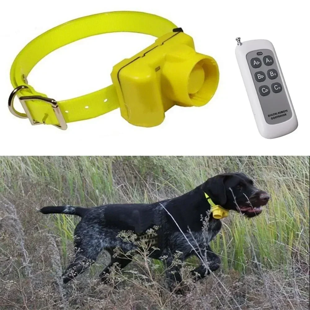 CC-PetPulse Collari Beeper Imp - Outdoor Hunting Dog Collar recensione e prezzo