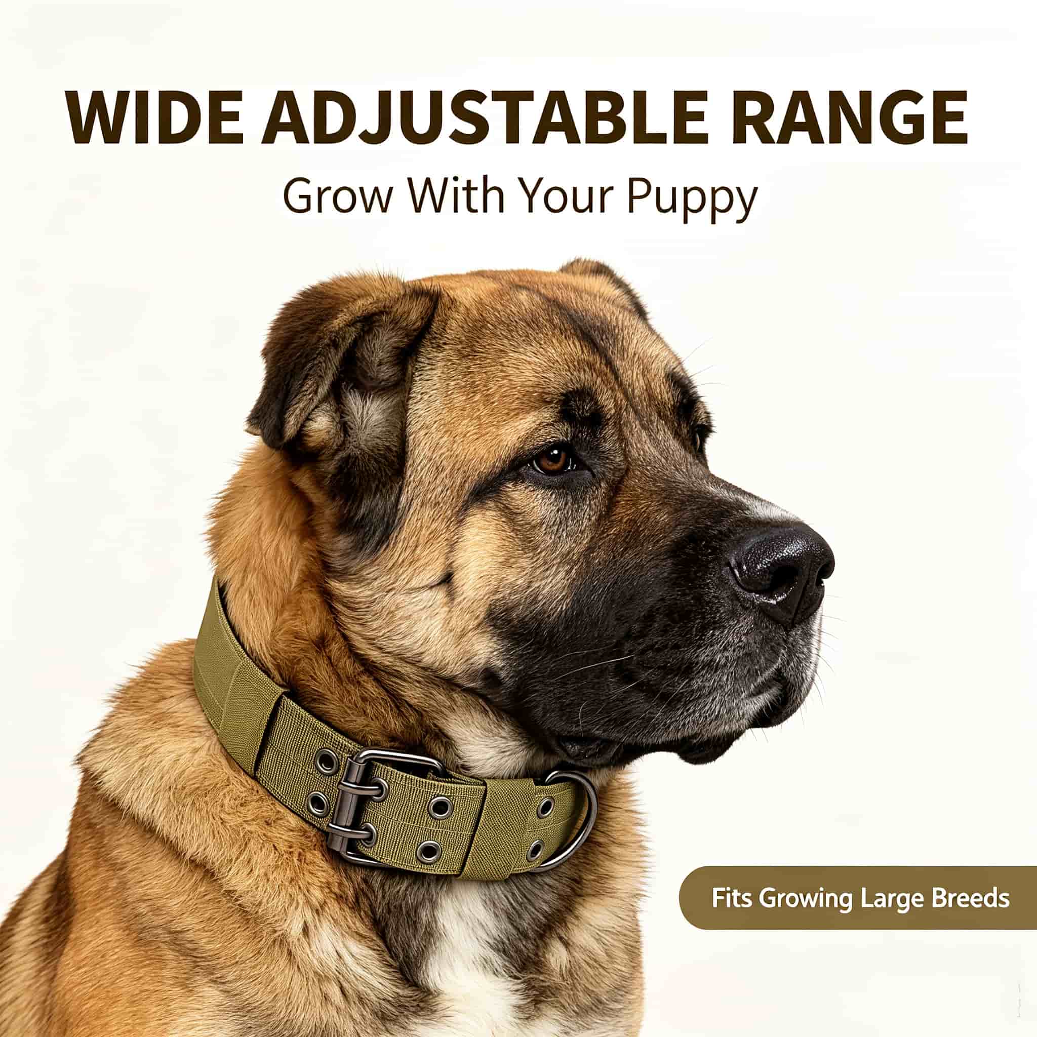 Collare tattico mimetico per c - Outdoor Hunting Dog Collar recensione e prezzo