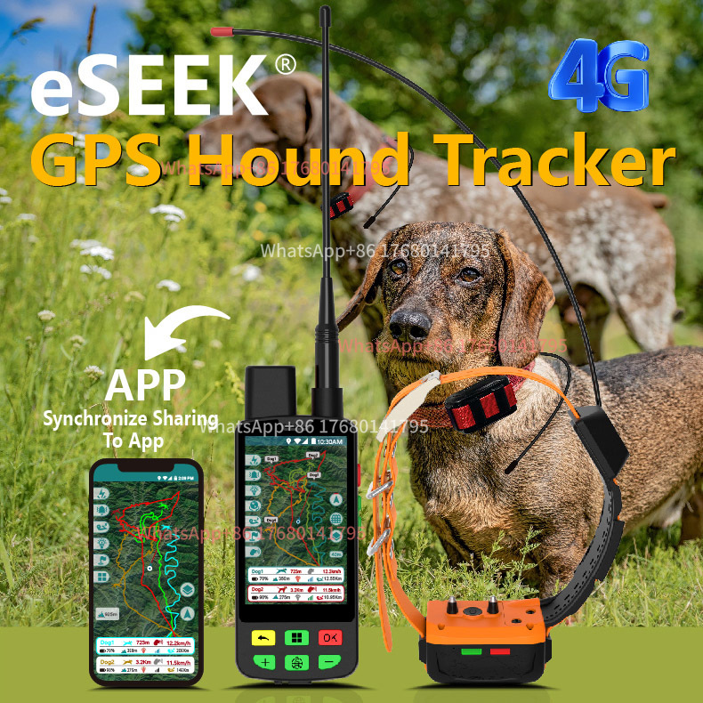 Collare GPS per Cani da Caccia - Outdoor Hunting Dog Collar recensione e prezzo