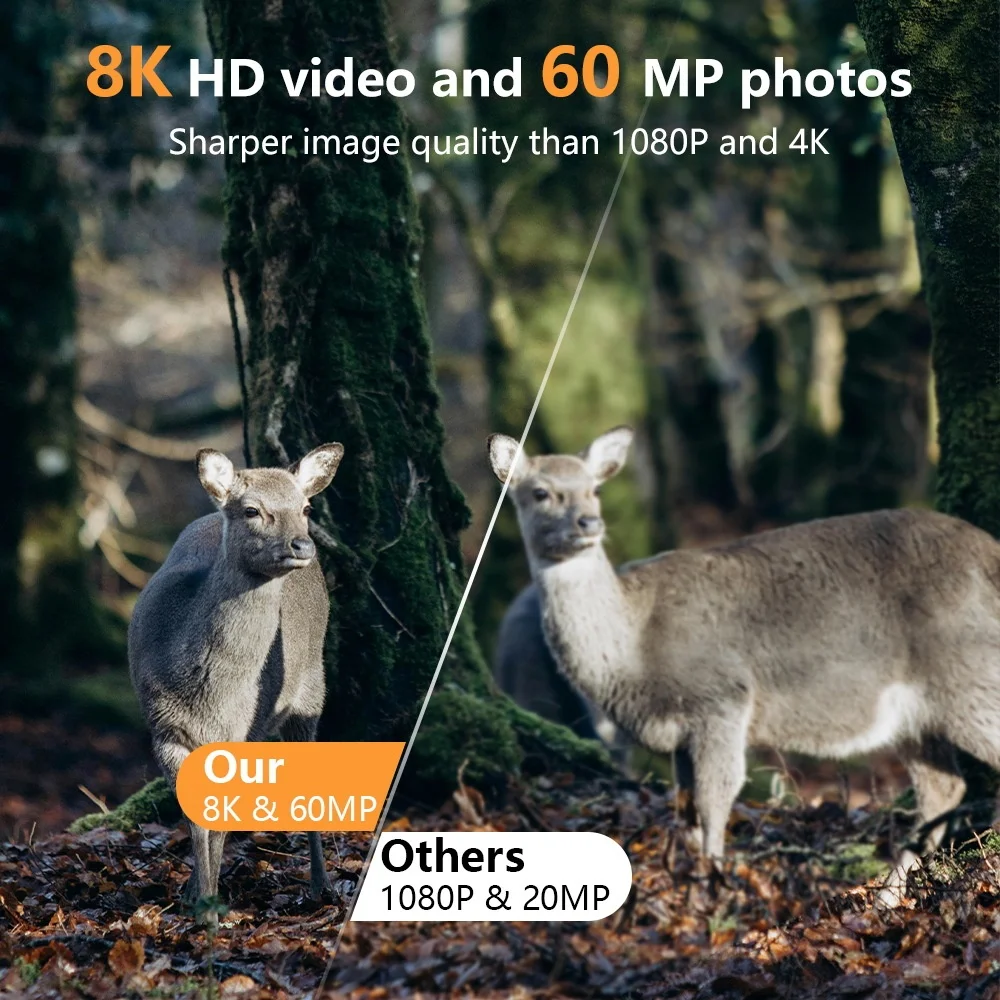 Telecamera da trail WiFi PR803 - Trail Camera Infrared recensione e prezzo