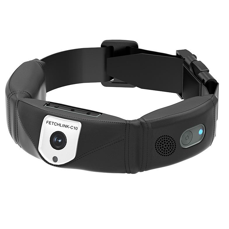 Collare GPS per Cani ad Alta P - Outdoor Hunting Dog Collar recensione e prezzo