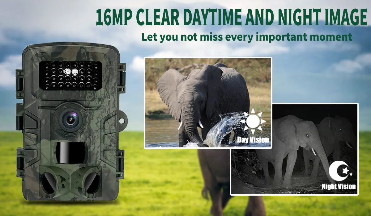 Telecamera da caccia PR700 con - Trail Camera Infrared recensione e prezzo