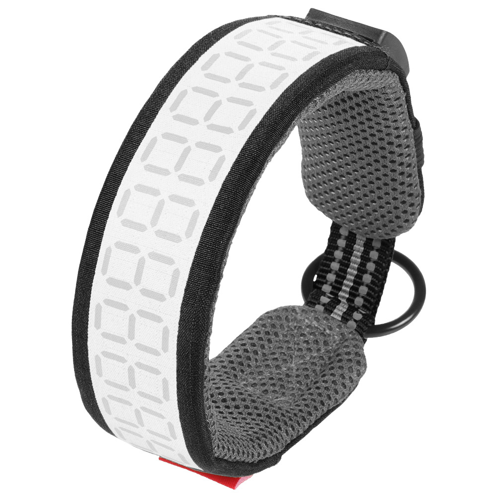 Collare Riflettente per Cani d - Outdoor Hunting Dog Collar recensione e prezzo