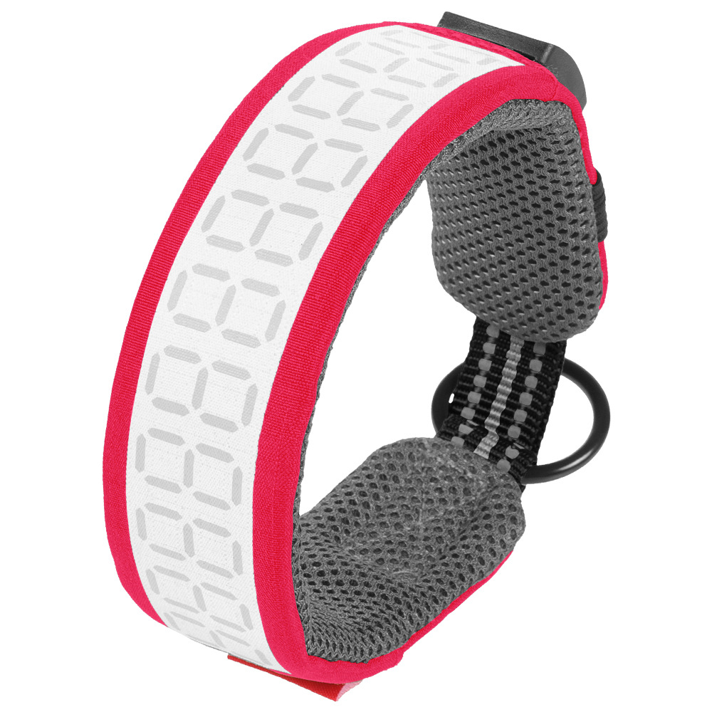 Collare Riflettente per Cani d - Outdoor Hunting Dog Collar recensione e prezzo