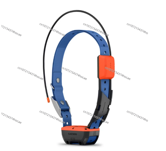 Dispositivo di localizzazione  - Outdoor Hunting Dog Collar recensione e prezzo