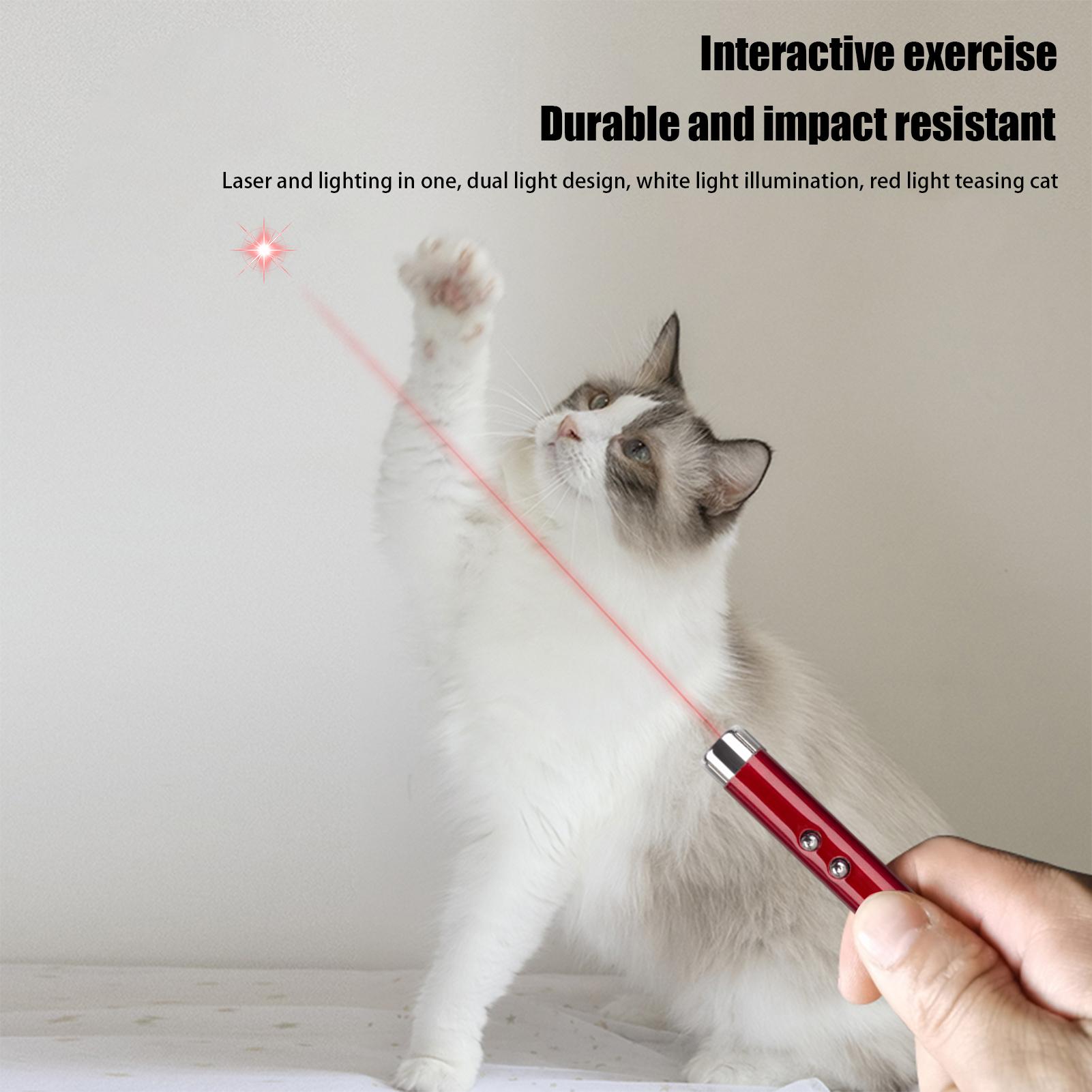 Giocattoli per Gatti, Bacchett - Trail Camera Infrared recensione e prezzo