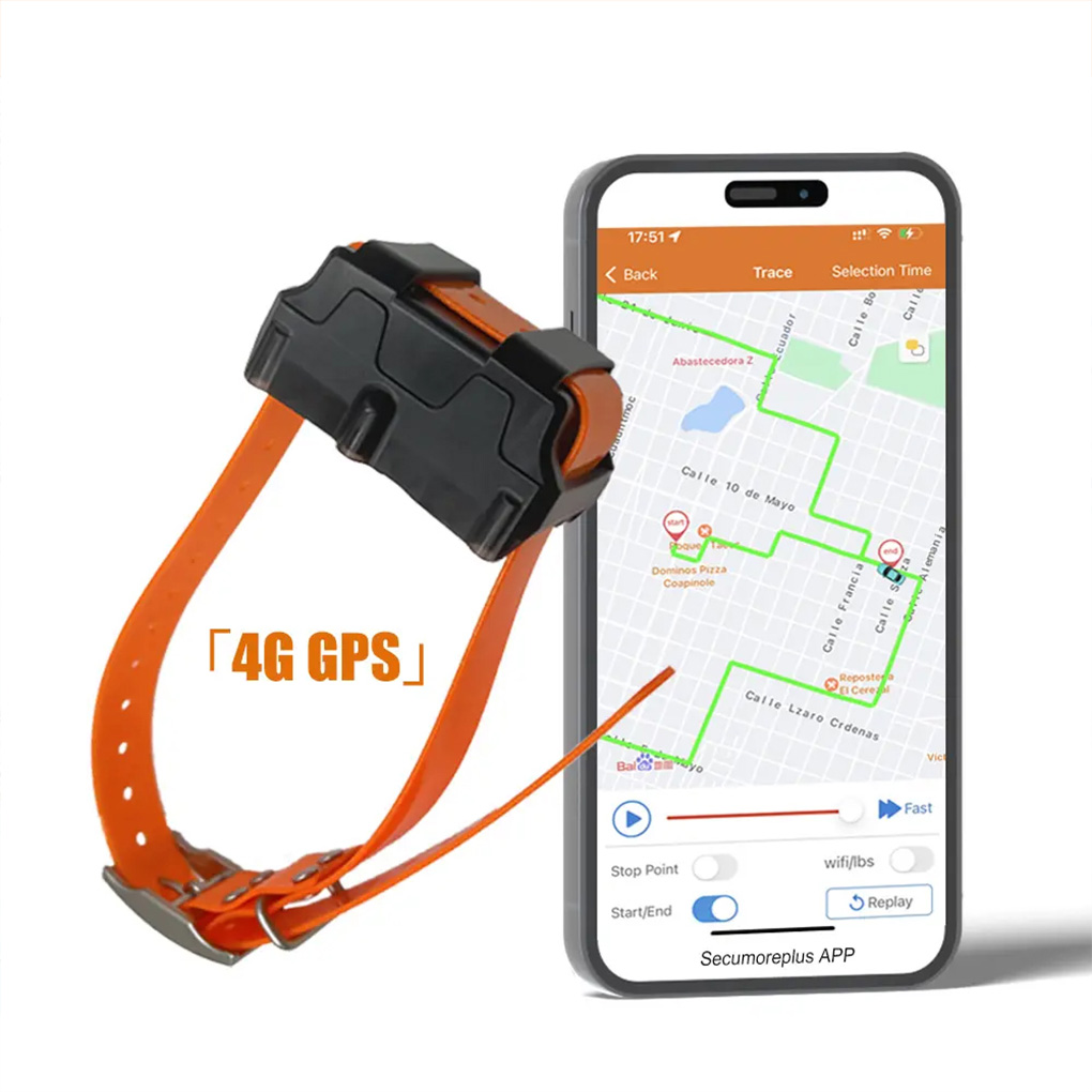 CY09A Localizzatore GPS portat - Outdoor Hunting Dog Collar recensione e prezzo