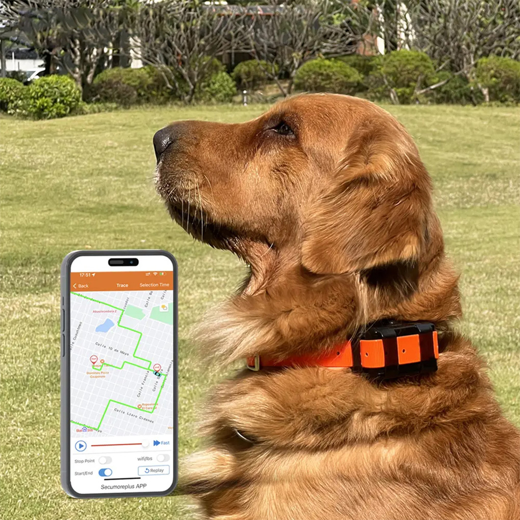 CY09A Localizzatore GPS portat - Outdoor Hunting Dog Collar recensione e prezzo