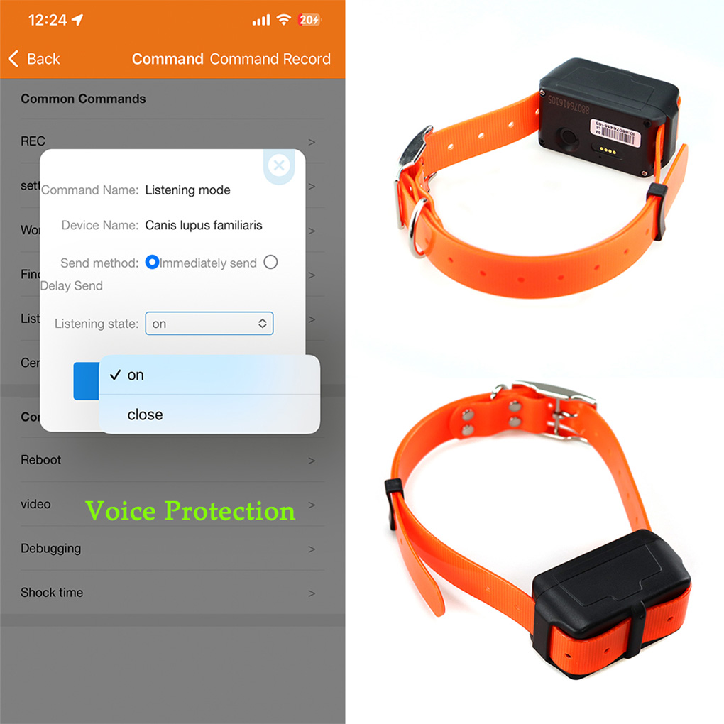 CY09A Localizzatore GPS portat - Outdoor Hunting Dog Collar recensione e prezzo