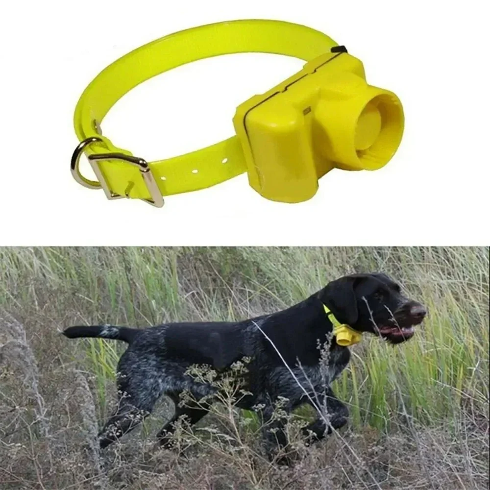 Collari Beeper per cani da cac - Outdoor Hunting Dog Collar recensione e prezzo