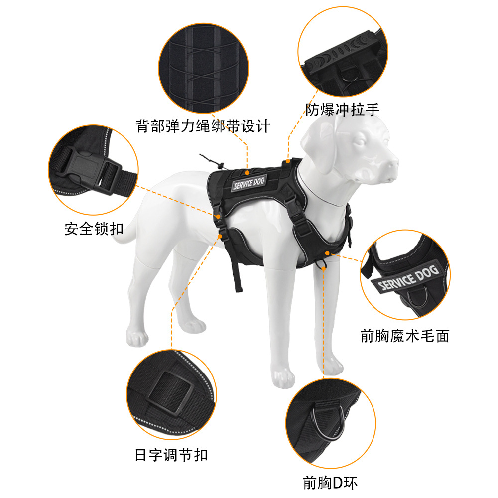 Imbracatura tattica per cani d - Outdoor Hunting Dog Collar recensione e prezzo