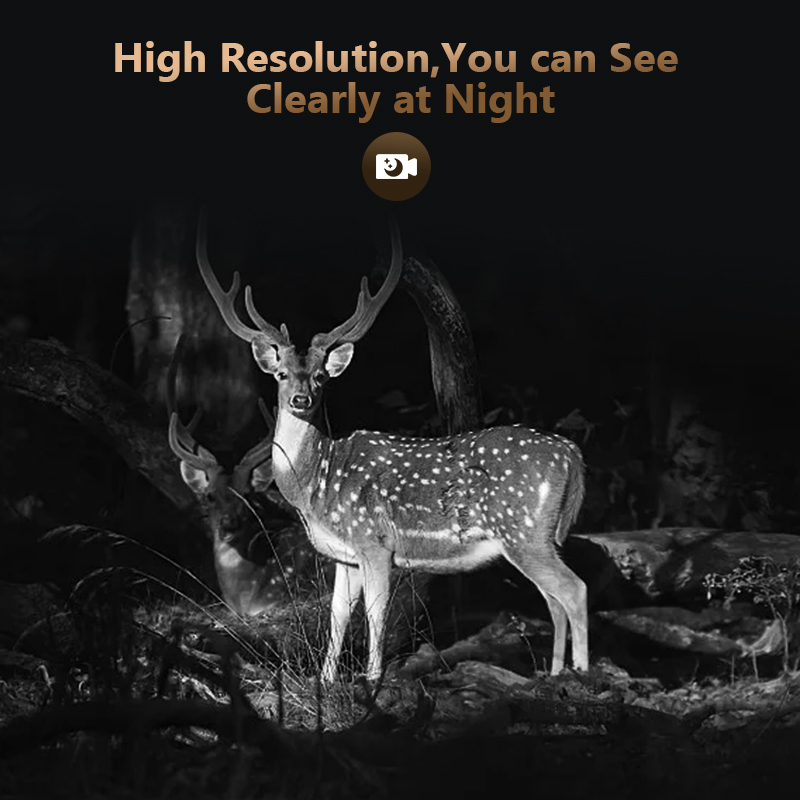 Telecamera da gioco per caccia - Trail Camera Infrared recensione e prezzo