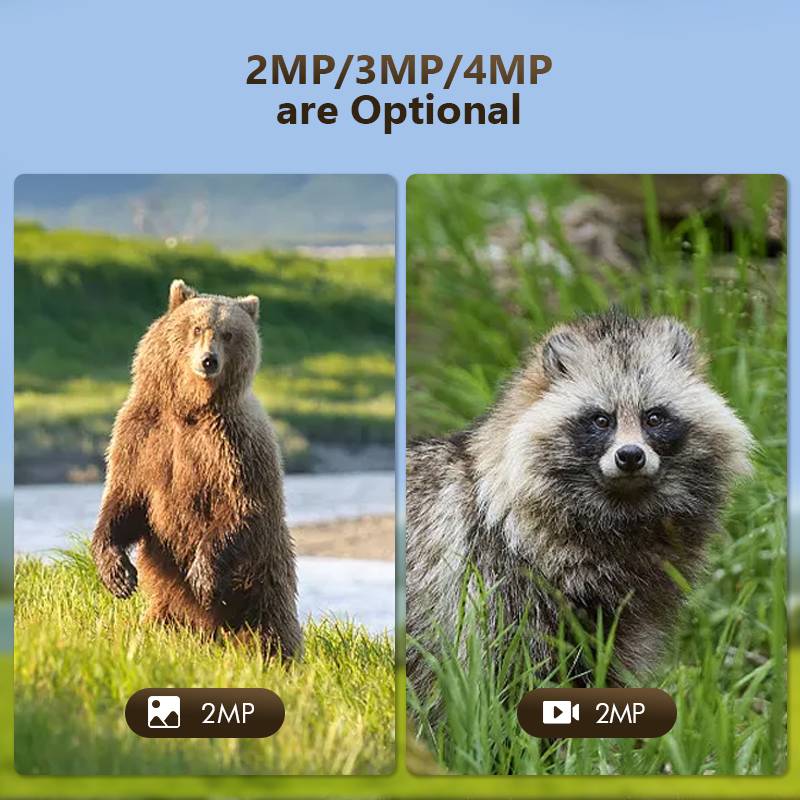 Telecamera da gioco per caccia - Trail Camera Infrared recensione e prezzo