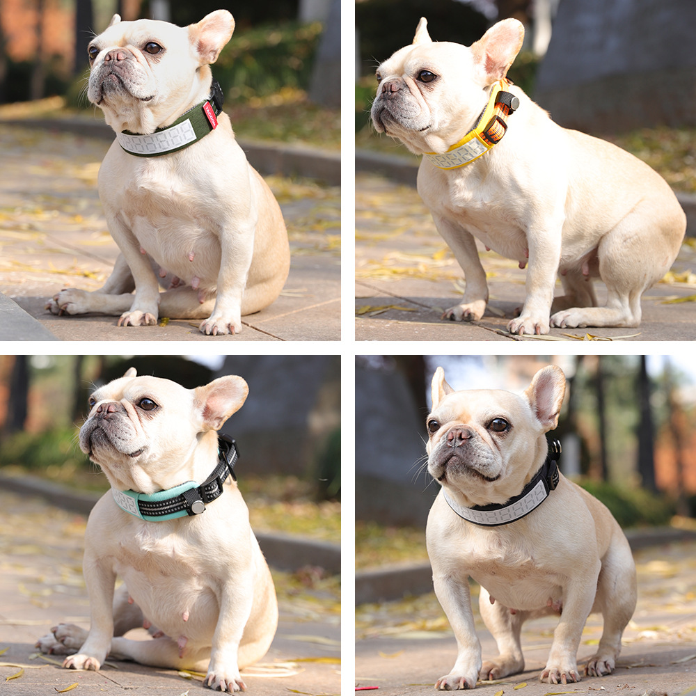 Collare Riflettente per Cani d - Outdoor Hunting Dog Collar recensione e prezzo