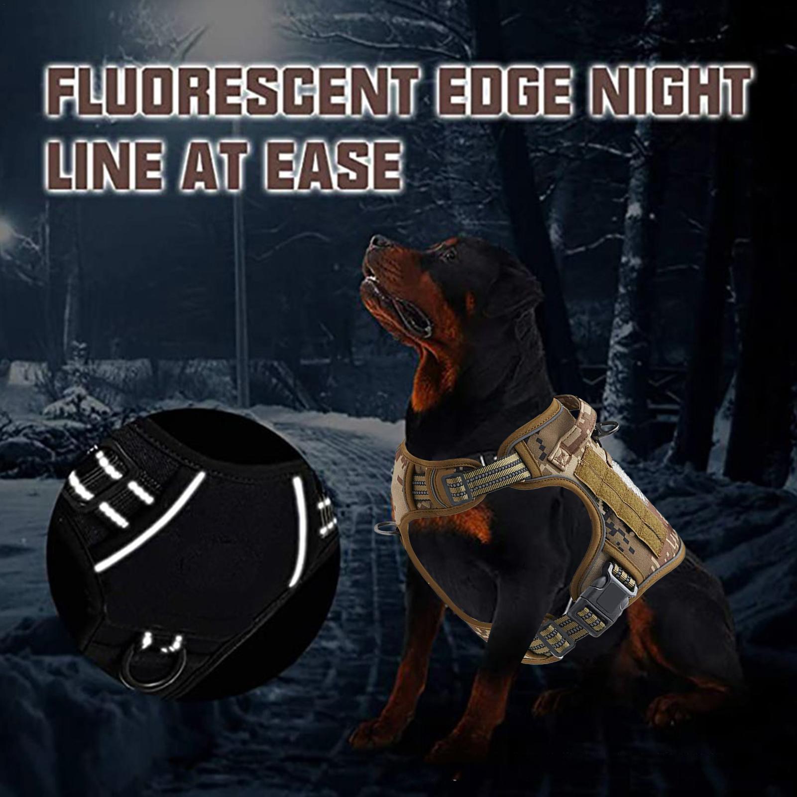 Pettorina per cani con fibbia  - Outdoor Hunting Dog Collar recensione e prezzo