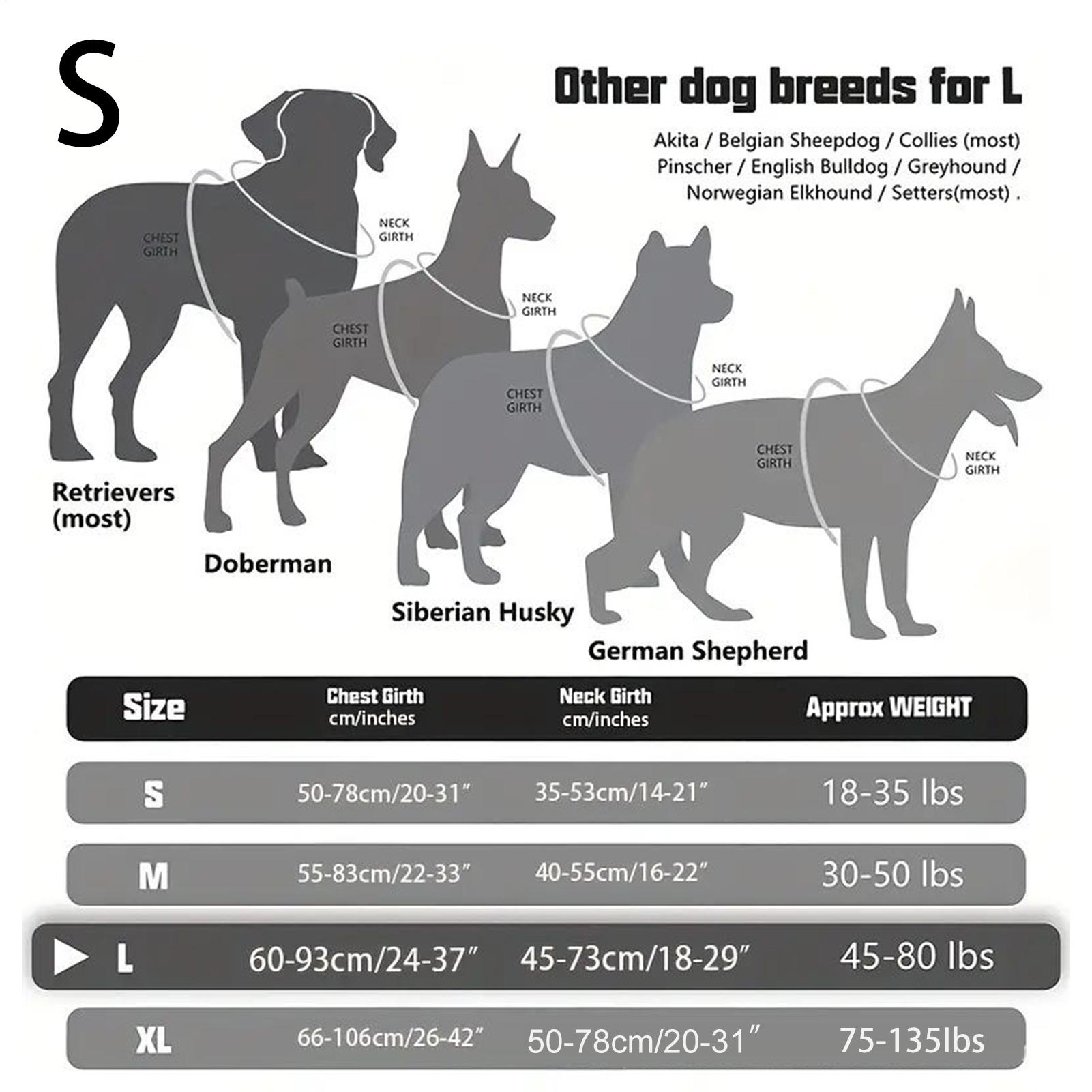 Pettorina per cani con fibbia  - Outdoor Hunting Dog Collar recensione e prezzo