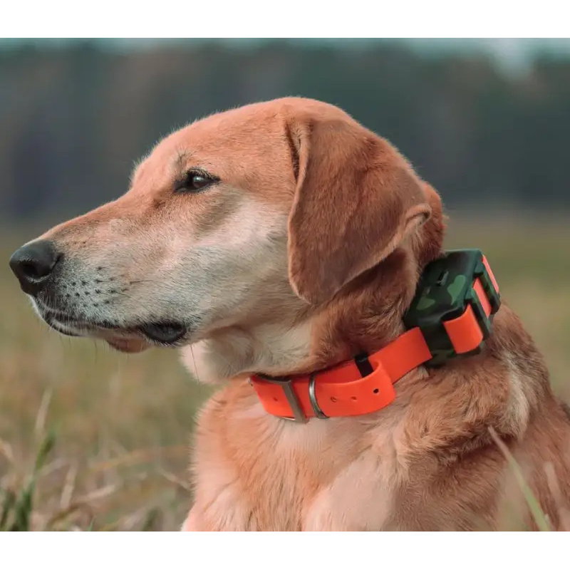 Localizzatore GPS 4G ICAR IK12 - Outdoor Hunting Dog Collar recensione e prezzo