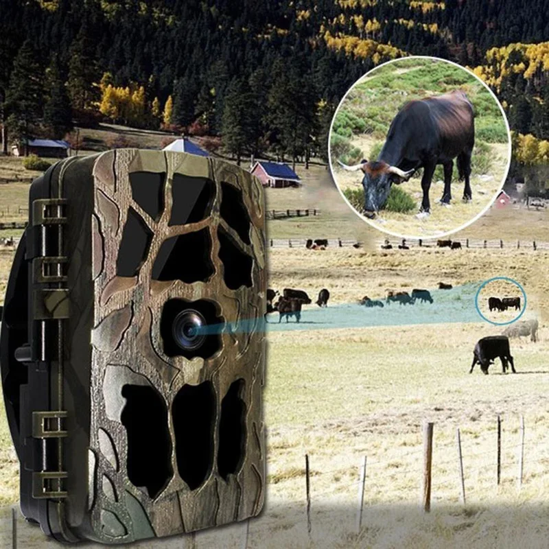 H982 IP66 Impermeabile 4K Este - Trail Camera Infrared recensione e prezzo