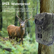 20MP 1080P PR100 Trail Camera  - Trail Camera Infrared recensione e prezzo