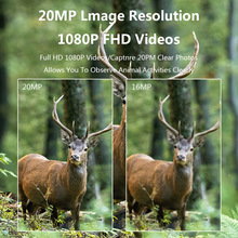 20MP 1080P PR100 Trail Camera  - Trail Camera Infrared recensione e prezzo