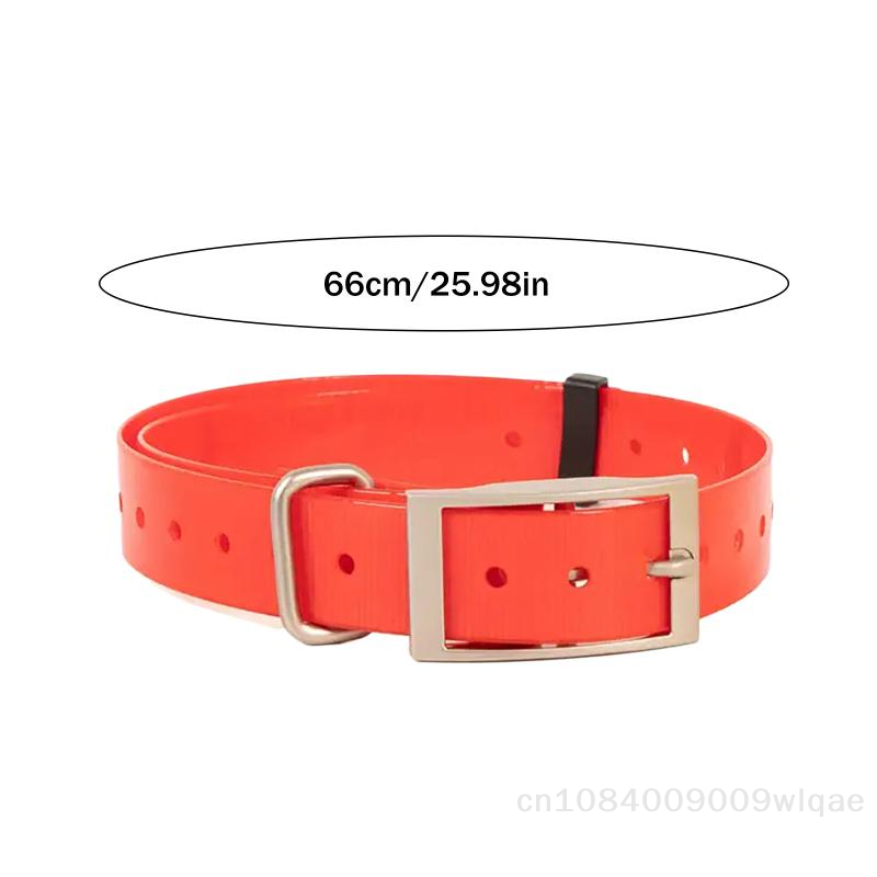 Collana per cani con collare d - Outdoor Hunting Dog Collar recensione e prezzo