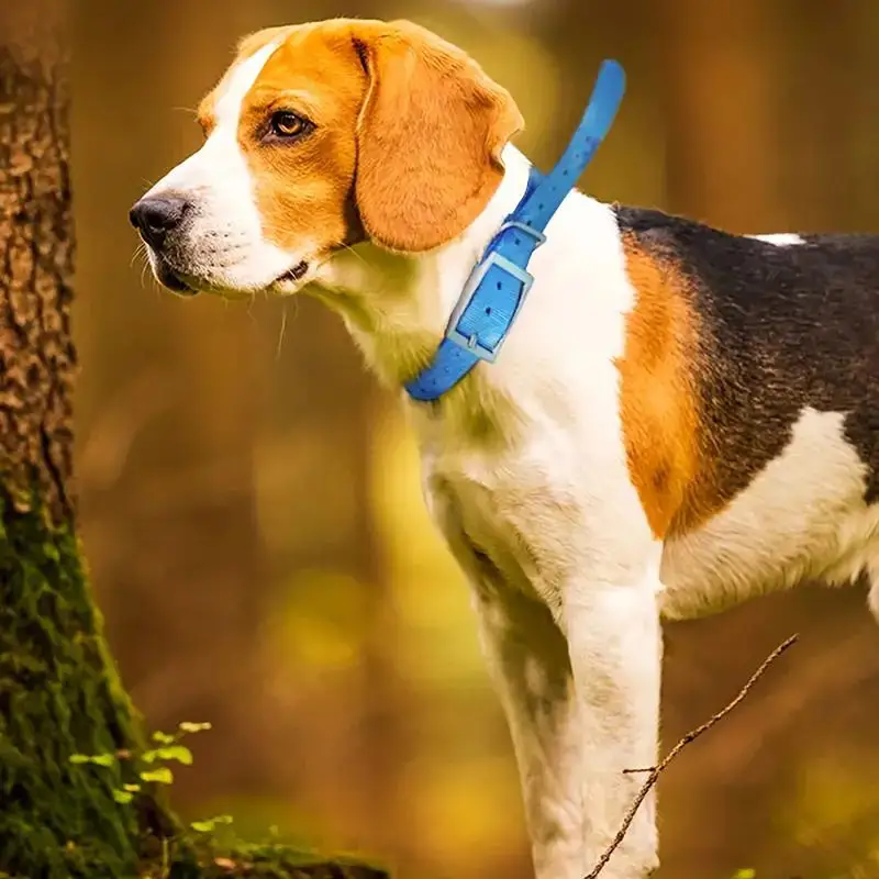 Collana per cani con collare d - Outdoor Hunting Dog Collar recensione e prezzo