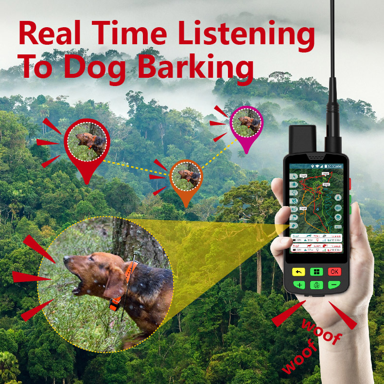 Collare GPS 4G per Cani con Mo - Outdoor Hunting Dog Collar recensione e prezzo