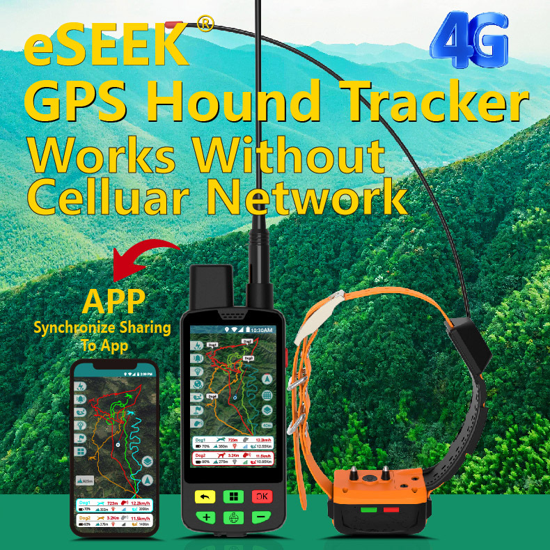 Collare GPS 4G per Cani con Mo - Outdoor Hunting Dog Collar recensione e prezzo