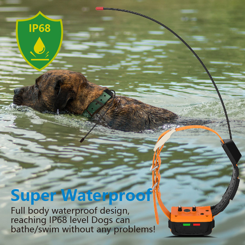 Collare GPS 4G per Cani con Mo - Outdoor Hunting Dog Collar recensione e prezzo